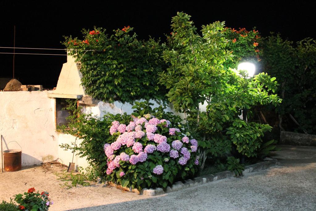 La Casa Del Nonno Bed & Breakfast Alberobello Exterior photo