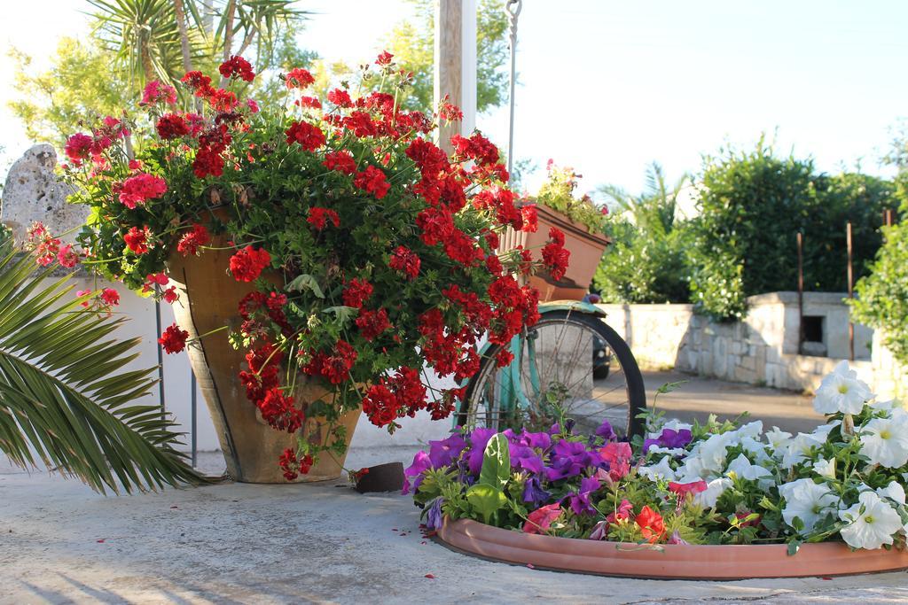 La Casa Del Nonno Bed & Breakfast Alberobello Exterior photo