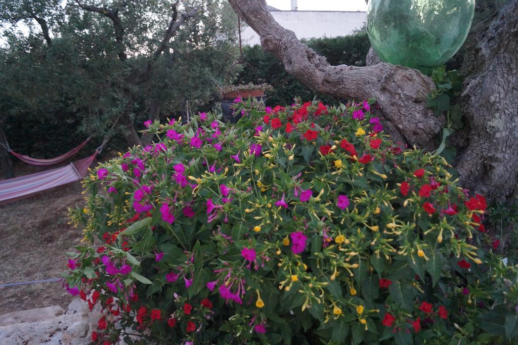 La Casa Del Nonno Bed & Breakfast Alberobello Exterior photo